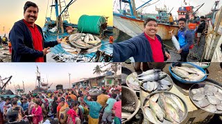 अलिबाग फिश मार्केटमधून खरेदी केली ताजी मच्छी😍 Alibaug Fish Market  S For Satish Alibaug Raigad [upl. by Adnat219]