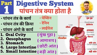 Digestive System  पांचन तंत्र   GI Tract  Organs of Digestive System  Oral Cavity  Oesophagus [upl. by Suivatal]