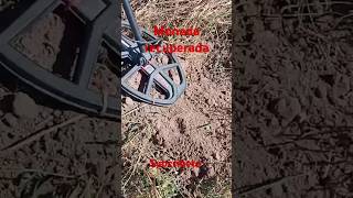 Moneda recuperada video viralshorts viralvideo metaldetecting [upl. by Ivy]