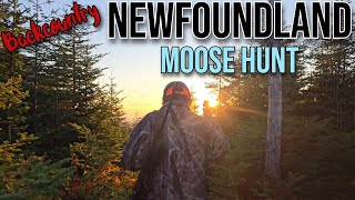 Successful Moose Hunt Newfoundland 2024 3 Generations of Hunters [upl. by Hoang]