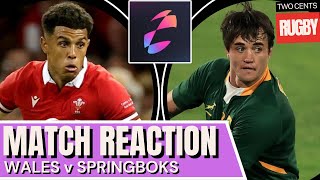 Wales v Springboks Reaction  Autumn Nations Series Rugby  2024 [upl. by Yenhpad531]