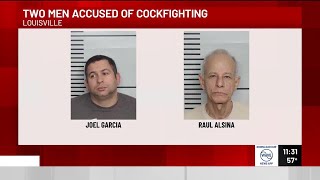 LMPD arrests 2 men for their alleged involvement in cockfighting operation [upl. by Enylodnewg885]