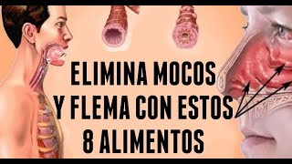 Elimina Mocos Y Flema Con Estos 8 Alimentos  Remedio Casero Para La Gripa [upl. by Brest]