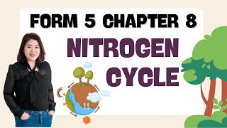 【中文讲解】Form 5 Biology Chapter 8 Nitrogen Cycle [upl. by Allix]