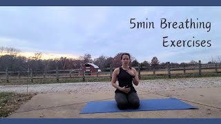 Daily 5min Breathing  calming for anxiety grounding nervous system vagus nerve balance [upl. by Billat315]