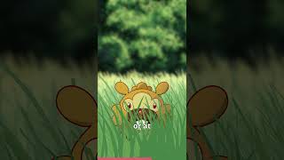 Bidoof bidoof [upl. by Silenay695]