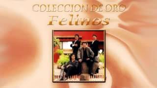 Felinos mix cumbias [upl. by Irtimd668]