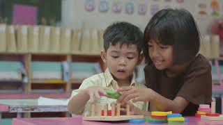 The Role of Developmental Psychology in Child Learning [upl. by Rollo667]