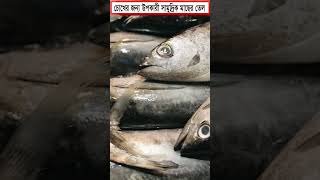 চোখের জন্য উপকারী সামুদ্রিক মাছের তেল  Marine fish oil is beneficial for eyes shortsfeed [upl. by Icyak]