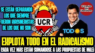 Máxima tensión en el RADICALISMO varios no Kirchneristas se quieren aliar con Milei [upl. by Nabal453]