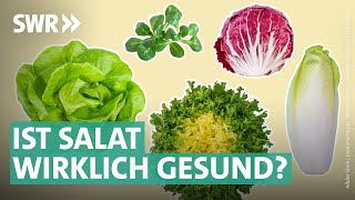 Gartensalate Bittersalate amp Co – das steckt wirklich drin  Marktcheck SWR [upl. by Stander]