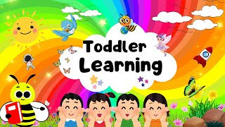 Toddler Learning Shapes Colors Numbers and more  Best Learning Video For Toddlers [upl. by Sucitivel98]