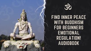 ✩°｡⋆⸜ 🎧✮ DISCOVER Emotional Regulation Secrets in Buddhism for Beginners AUDIOBOOK [upl. by Klemens872]