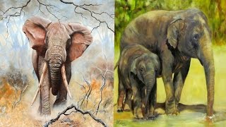 All Elephant Subspecies  Species List ReUpload [upl. by Aihseyk]