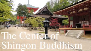 A Spiritual Journey to the Center of Shingon Buddhism at Mount Koyasan [upl. by Nerro]