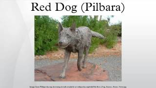 Red Dog Pilbara [upl. by Ahilam]