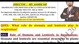 What role do stomata and lenticels play in respiration [upl. by Rebel]