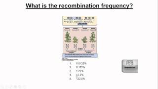 Recombination and Linkage [upl. by Siwel]