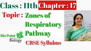 Zones of Respiratory Pathway  BioPoint  Class 11  Chapter 17  NEET  Sheetal Mishra  NCERT [upl. by Nylirad]