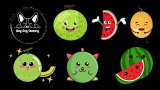 Dancing Watermelon Party 🍉  Bouncing Melon Fun to Catchy Tunes [upl. by Hpesojnhoj]