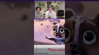 Kitty pattes de velour humour youtubeshorts streameur streamerfr funny france quebec [upl. by Ailen]