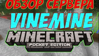 ОБЗОР СЕРВЕРА VINEMINE MINECRAFT POCKET EDITION [upl. by Swor964]