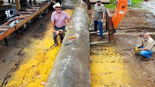 38 Foot Long EPIC Sinker Cypress Logs Pulled From The River Bottom [upl. by Kristal]