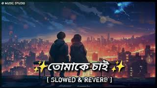 Tomake Chai 😌।Tomar Namer Roddure💕  Slowed amp Reverb । Gangster। Bengali Lofi Song ❤️। [upl. by Brittni]