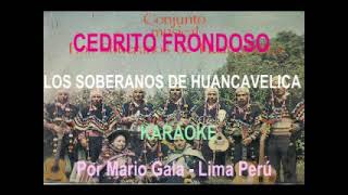 CEDRITO FRONDOSO SOBERANOS DE HUANCAVELICA KARAOKE [upl. by Karlyn]