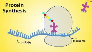 Mode of Action Part 2 Fungicides and Bactericides Hindi [upl. by Leonidas]