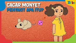 Cacar Monyet Penyakit Apakah itu  Fakta Menarik [upl. by Araccot]