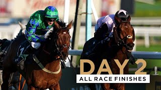 ALL RACE FINISHES FROM DAY TWO OF THE NOVEMBER MEETING AT CHELTENHAM RACECOURSE [upl. by Wolcott]