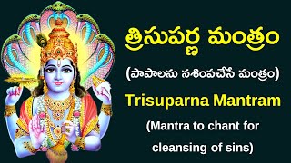 త్రిసుపర్ణ మంత్రం ¦ Trisuparna Mantram  Mantra for cleansing of Sins ¦ Namaskar TV [upl. by Ariom]