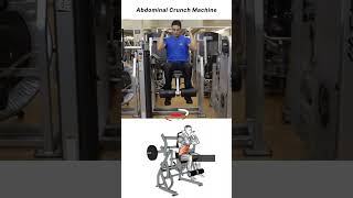 Abdominal Crunch Machine Correct technique and muscles worked [upl. by Gillespie797]