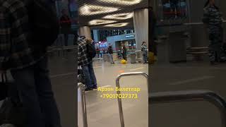 bilet automobile aviat airport uzbekistanairways travel olish aviabilet aviasales rek [upl. by Margaret]