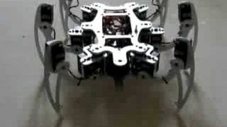 Hexapod MSRH01 Test 2 [upl. by Acirtal]