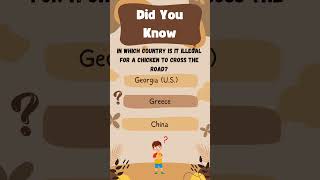 Chicken cross road chicken law facts didyouknow animals animalworld quiz quizz quizzes [upl. by Merp]