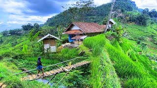 DIJAMIN BETAH😍 MENIKMATI HIDUP DI KAMPUNG YANG INDAH ALAM DESANYA SUASANANYA ADEM AYEM amp TENTRAM [upl. by Orran]