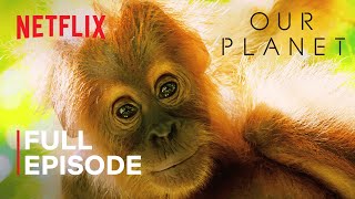 Our Planet  Jungles  FULL EPISODE  Netflix [upl. by Ttevi131]