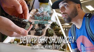 Buying for My Private Collection  Denver Gem Show 2024 Part 2  From The Mines [upl. by Ellett]