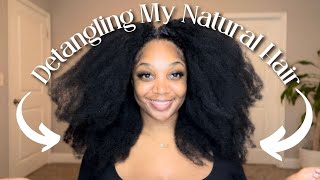 DETANGLING NATURAL HAIR  NO BREAKAGE  HOW TO RETAIN LENGTH FOR MAXIMUM HAIR GROWTH [upl. by Ycnaffit748]