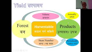 Forest Management  Stem Controlled Yield Regulation  Suman Bhattarai  IOFPC  Scientific Forest [upl. by Selassie415]