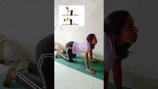 Cat 😺 cow pose  marjariasana  cure cervical pain yogabenefits catcowpose shortsvideo yt [upl. by Oiliduab]