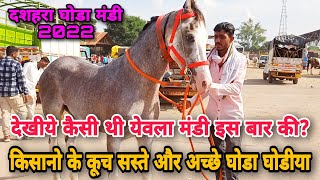 घर बैठे दशहरा येवला मंडी की एक साथ सेहर कर लो। horse for sale in Yeola [upl. by Ecinnej]