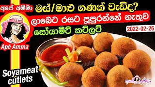 ✔ මස් මාළු ගණන් වැඩිද ලාබෙට රසට පූපුරන්නේ නැතුව සොයාමීට් කට්ලට් Tea time snack cutlets by Apé Amma [upl. by Twila]