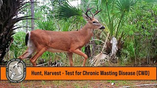 Hunt Harvest  Test for Chronic Wasting Disease CWD [upl. by Aimerej]