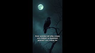 Crows and Hauntings Myths Unveiled [upl. by Phelia294]