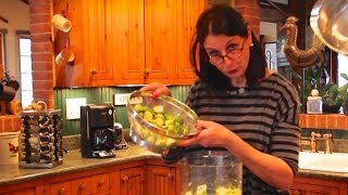 Cuisinicity video Enjoy your cruciferous veggies [upl. by Attenyt253]