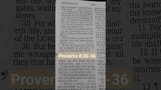 Proverbs 83036 KJV [upl. by Avlem]