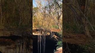 🔴CENOTE NOH MOZON TECOH YUCATAN MEXICO 🇲🇽 cenotes mexico travel viajes yucatán [upl. by Zeena783]